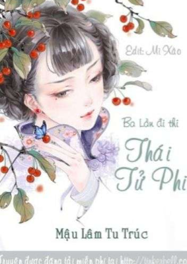 Ba Lần Đi Thi Thái Tử Phi – Tải sách miễn phí eBooks PDF